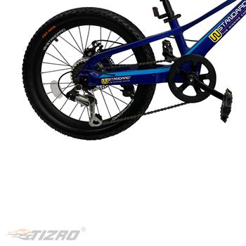 دوچرخه بچه گانه سایز ۲۰ آبی دبلیو استاندارد